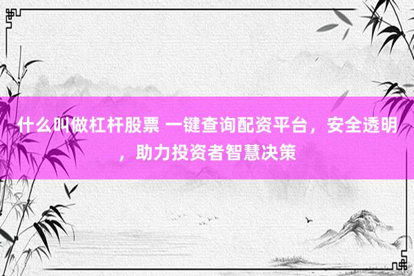 什么叫做杠杆股票 一键查询配资平台，安全透明，助力投资者智慧决策