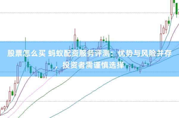 股票怎么买 蚂蚁配资服务评测：优势与风险并存，投资者需谨慎选择