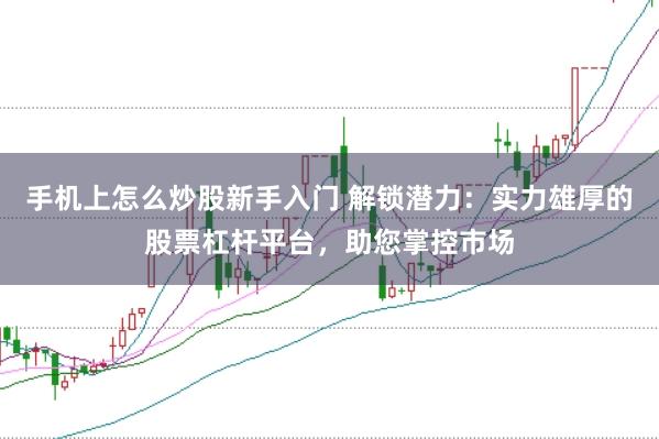 手机上怎么炒股新手入门 解锁潜力：实力雄厚的股票杠杆平台，助您掌控市场