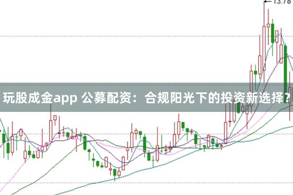 玩股成金app 公募配资：合规阳光下的投资新选择？