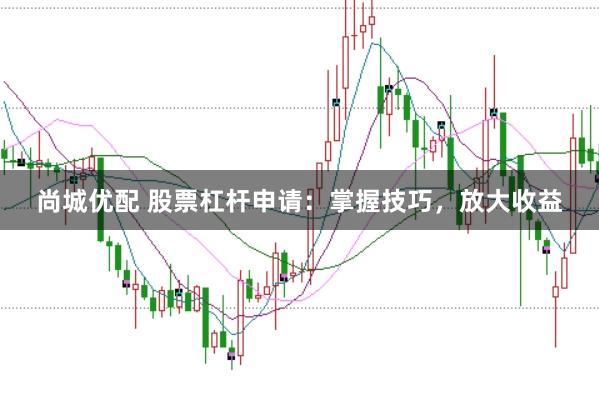 尚城优配 股票杠杆申请：掌握技巧，放大收益