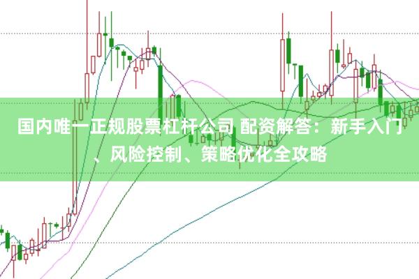 国内唯一正规股票杠杆公司 配资解答：新手入门、风险控制、策略优化全攻略