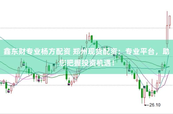 鑫东财专业杨方配资 郑州现货配资：专业平台，助您把握投资机遇！