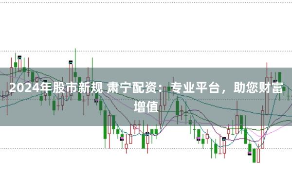 2024年股市新规 肃宁配资：专业平台，助您财富增值