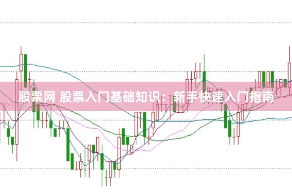 股票网 股票入门基础知识：新手快速入门指南