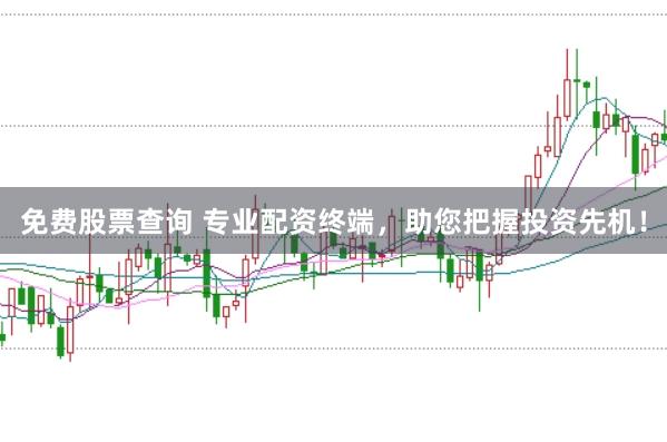 免费股票查询 专业配资终端，助您把握投资先机！