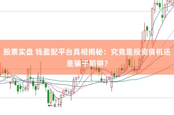股票实盘 钱盈配平台真相揭秘：究竟是投资良机还是骗子陷阱？