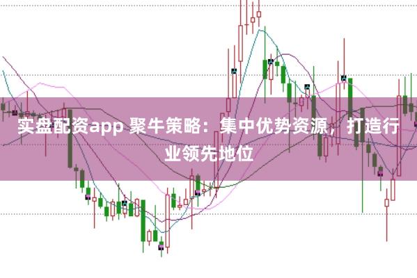 实盘配资app 聚牛策略：集中优势资源，打造行业领先地位
