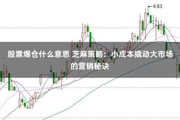 股票爆仓什么意思 芝麻策略：小成本撬动大市场的营销秘诀