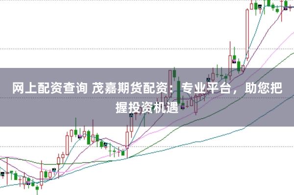网上配资查询 茂嘉期货配资：专业平台，助您把握投资机遇