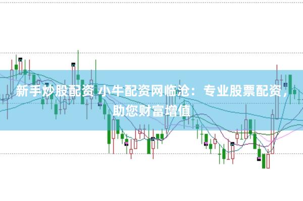 新手炒股配资 小牛配资网临沧：专业股票配资，助您财富增值