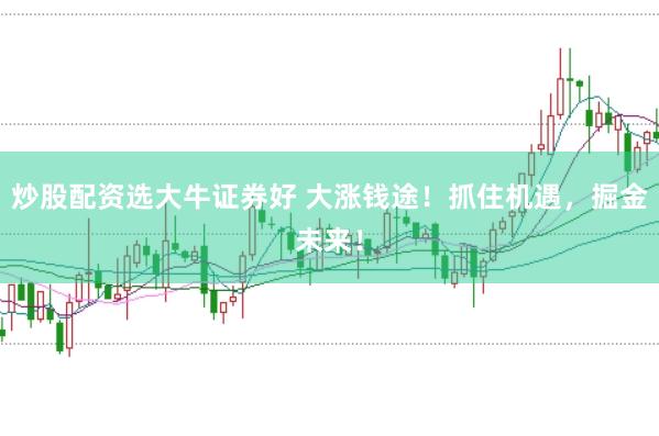 炒股配资选大牛证券好 大涨钱途！抓住机遇，掘金未来！