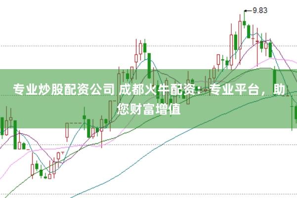 专业炒股配资公司 成都火牛配资：专业平台，助您财富增值