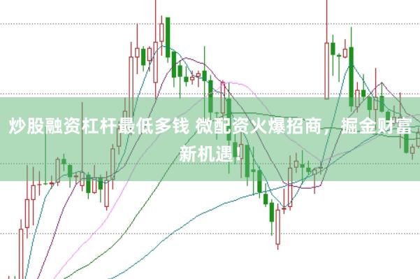 炒股融资杠杆最低多钱 微配资火爆招商，掘金财富新机遇！