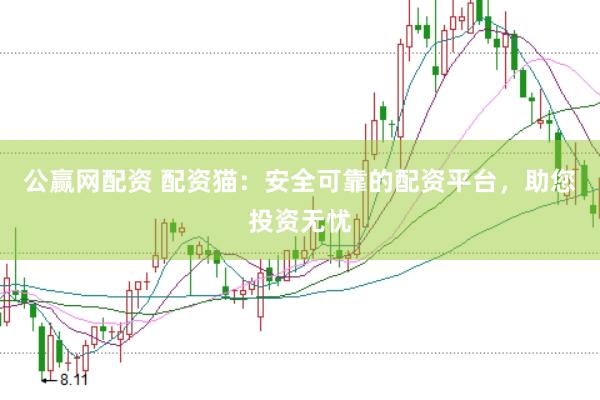 公赢网配资 配资猫：安全可靠的配资平台，助您投资无忧