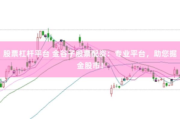 股票杠杆平台 金谷子股票配资：专业平台，助您掘金股市！