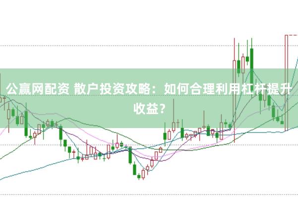 公赢网配资 散户投资攻略：如何合理利用杠杆提升收益？