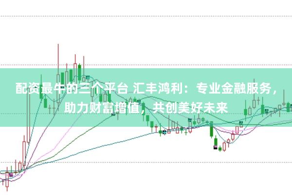 配资最牛的三个平台 汇丰鸿利：专业金融服务，助力财富增值，共创美好未来