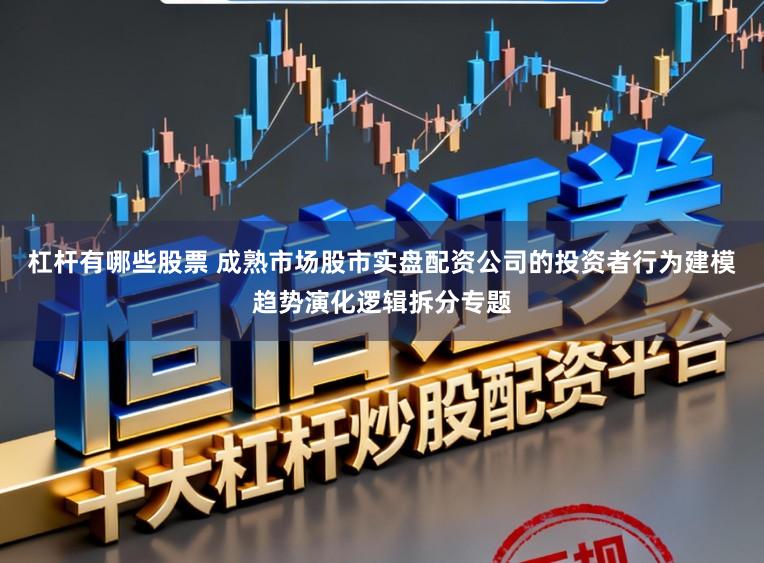 杠杆有哪些股票 成熟市场股市实盘配资公司的投资者行为建模趋势演化逻辑拆分专题